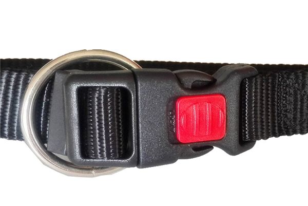 Sport hundekrage Sport Dog Collar