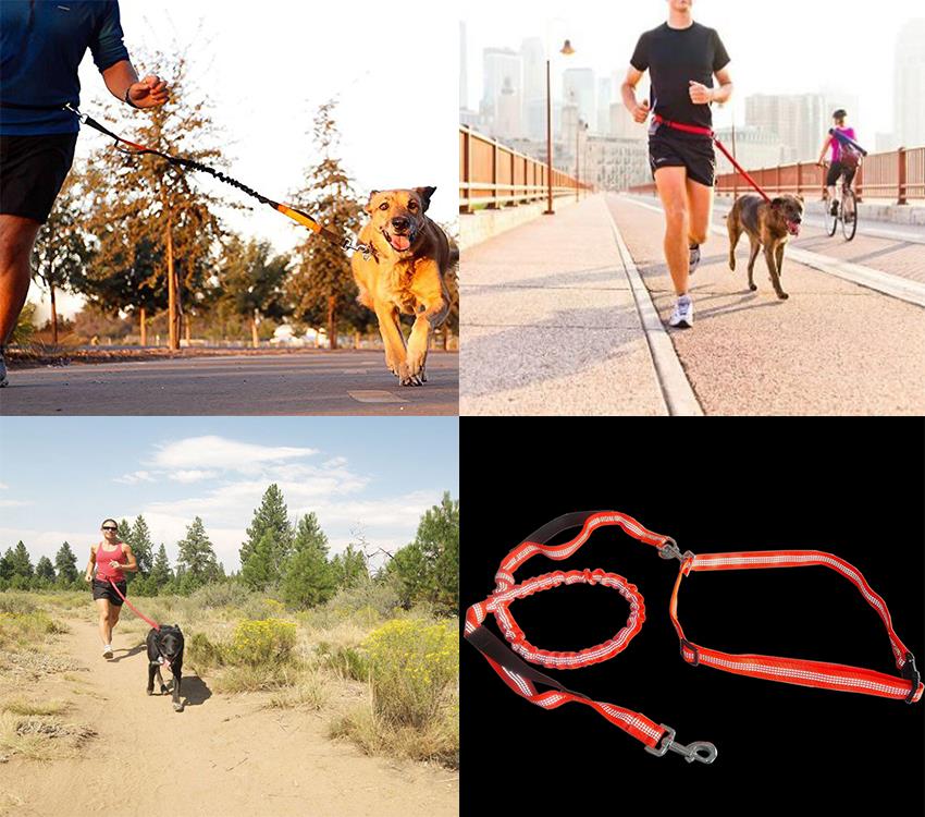 hands free dog leash application