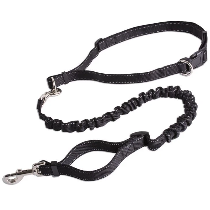 Dog Running Leash