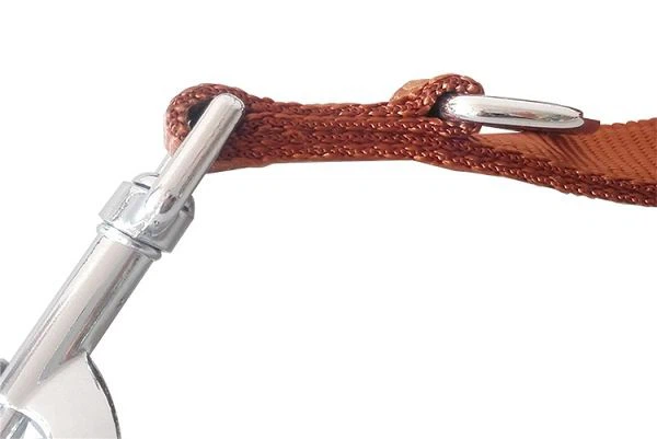 Long Dog Training Leash