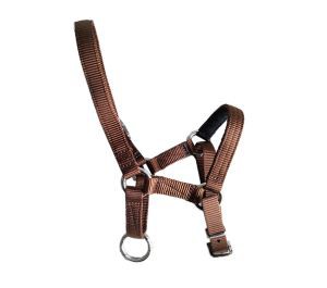 Brun Alpaca Head Halter