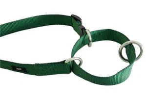 Martingale Hundekrage