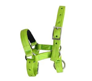 Green Sheep Head Halter