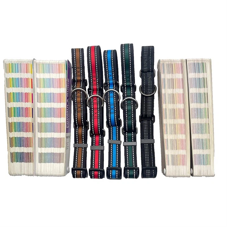Personalized reflective dog collars