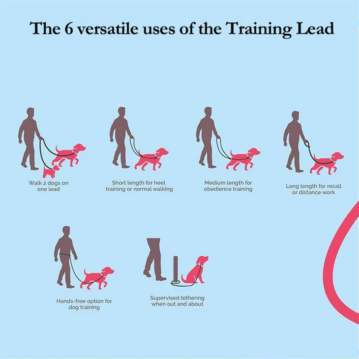 Multi-Function Dual Carabiner Leash for Training