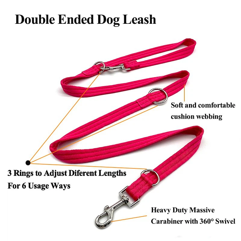 Ended Dog Leash Ended Dog Leash